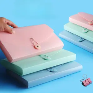 organizador de arquivos expansível 13 bolsos