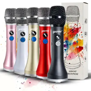 microfone sem fio portátil karaokê