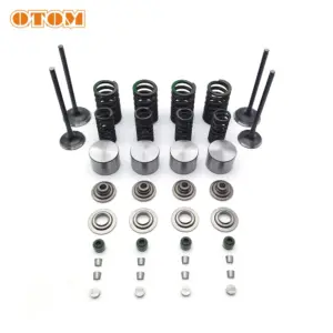 Kit Mola Válvula Admissão Escape Kawasaki KLX250 Loncin CR6
